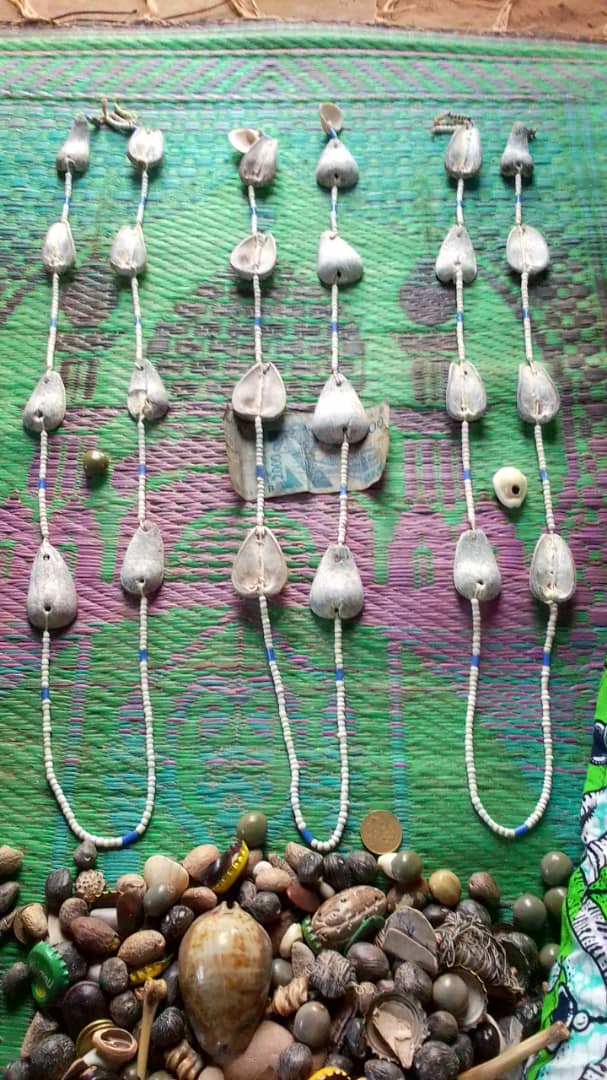 Maître puissant François